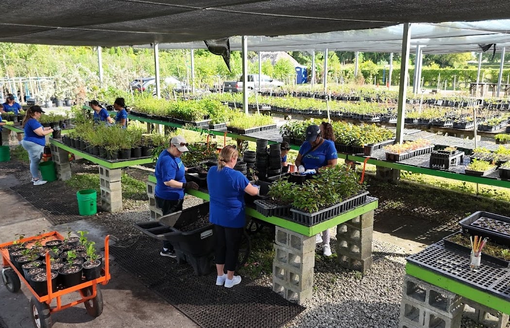 Tree Nursery Volunteer Day 4